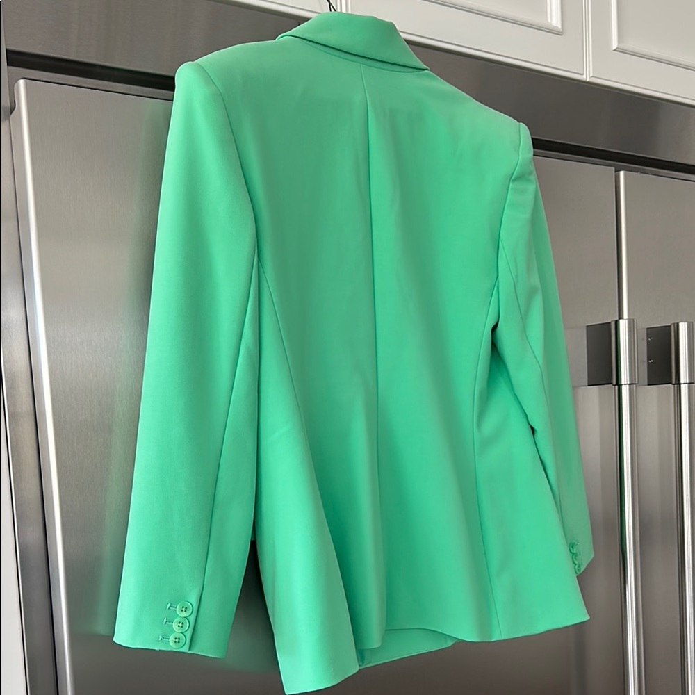Express Green Double-Breasted Blazer - Picture 3 of 3